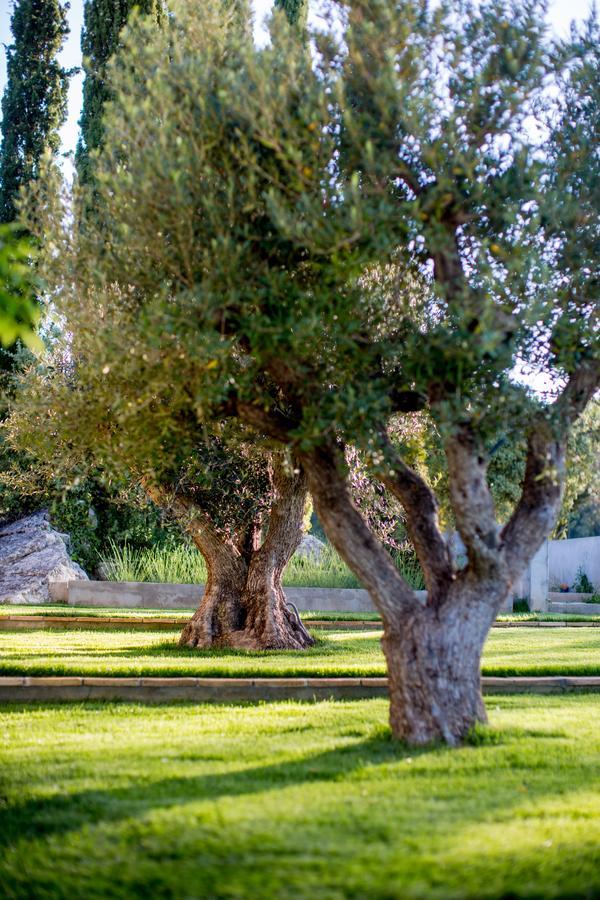 Domaine Monte Verdi Flayosc Exterior foto